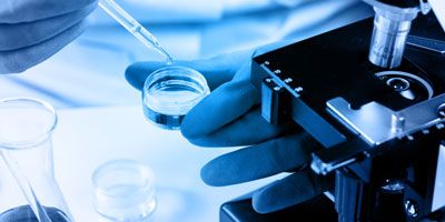 二甲基二硫是一種用途廣泛的含硫有機(jī)化合物